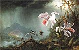 Two Fighting Hummingbirds with Two Orchids by Martin Johnson Heade